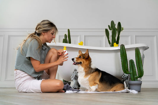 The Secret to a Calm and Happy Pet: Why Our Dog Calming Liquid Works